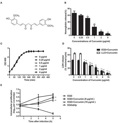 Curcumin Promotes the Clearance of Listeria monocytogenes both In Vitro and In Vivo by Reducing Listeriolysin O Oligomers